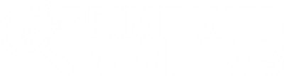 At Prime Web Reviews we dive into the vibrant realms of technology, telecom, IoT, applications, programming languages, software and business trends with enthusiasm and precision.